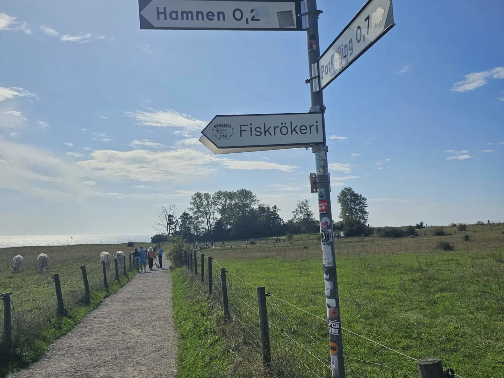 Bild 31 von 34