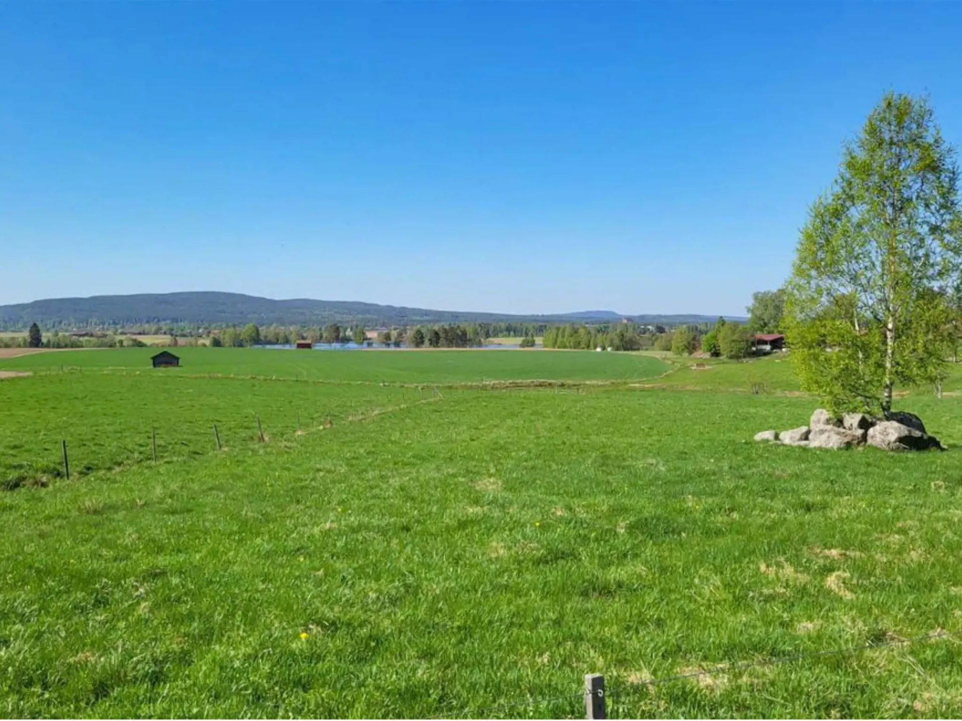 Bild 16 von 24