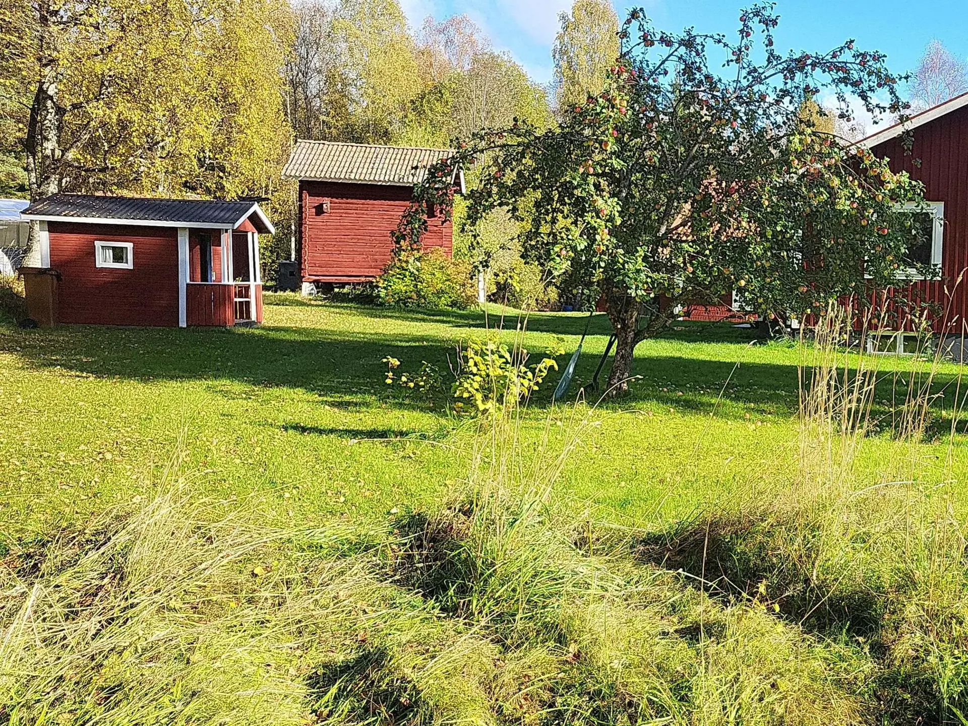 Bild 24 von 24