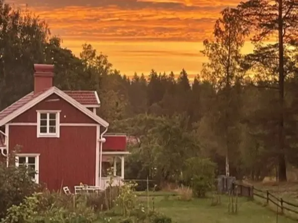 Ferienhaus 63999 in Aneby / Jönköpings län