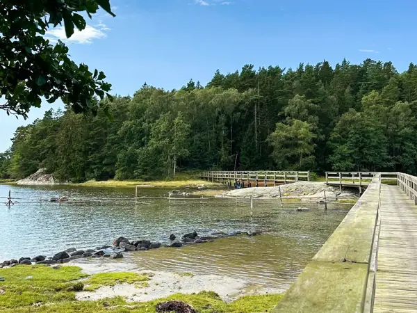 Bild 50 von 55