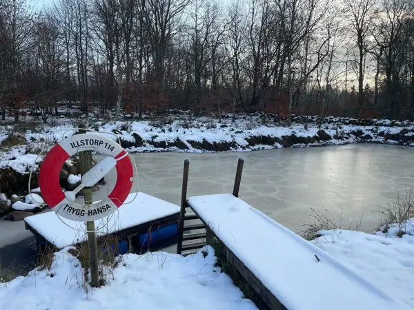 Ferienhaus 64162 in Tomelilla / Skåne