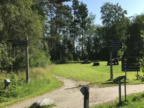 Bild 31 von 32