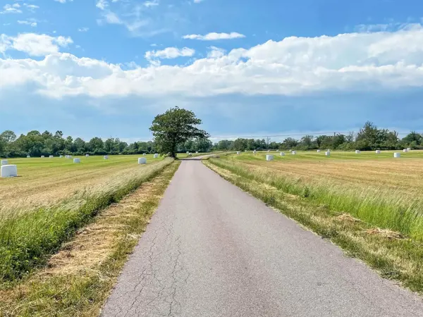 Bild 38 von 46
