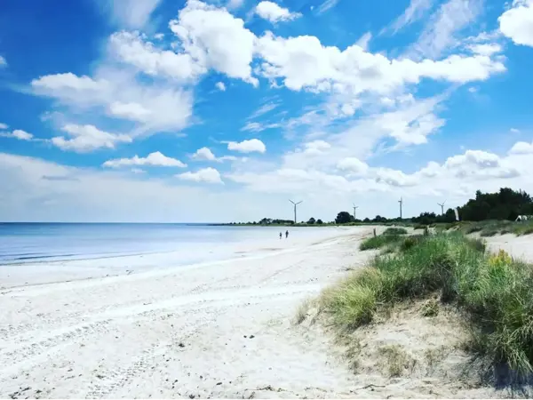 Bild 39 von 42