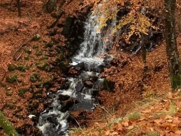 Bild 29 von 30