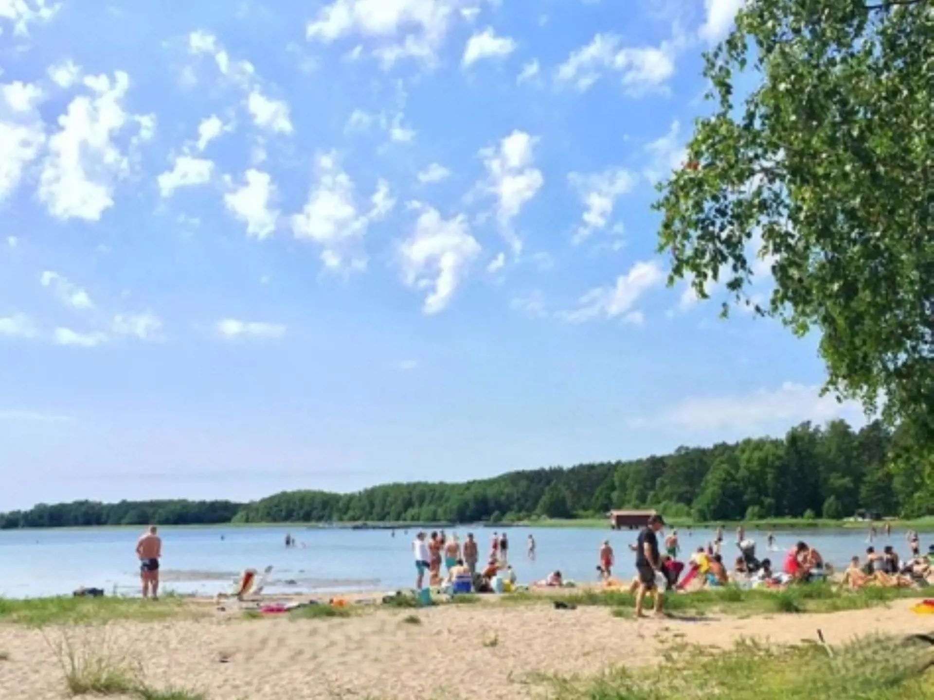 Bild 17 von 38