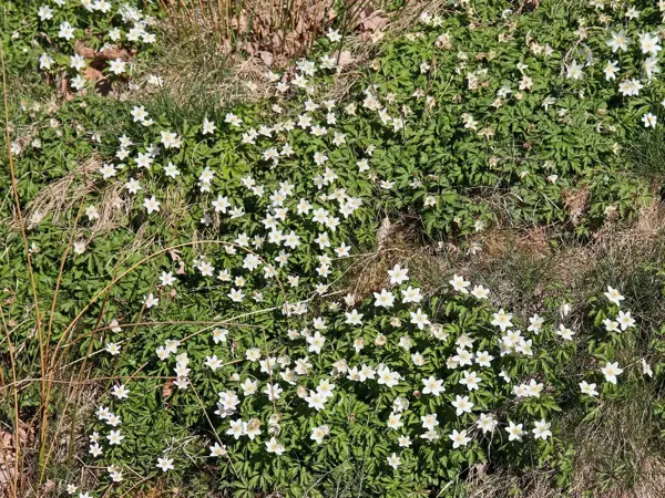 Bild 36 von 40