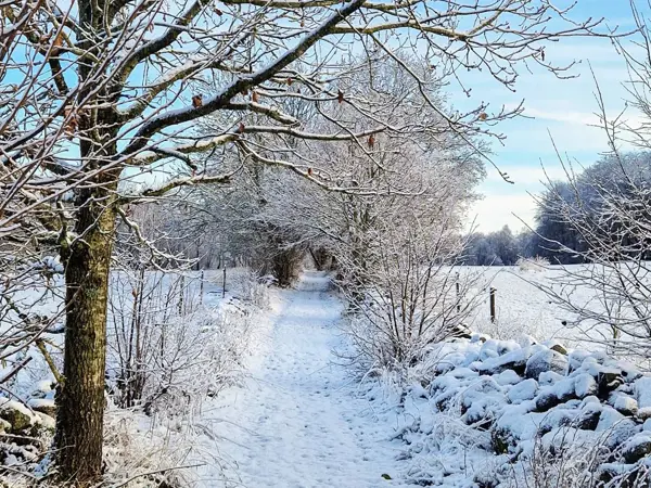 Bild 39 von 40