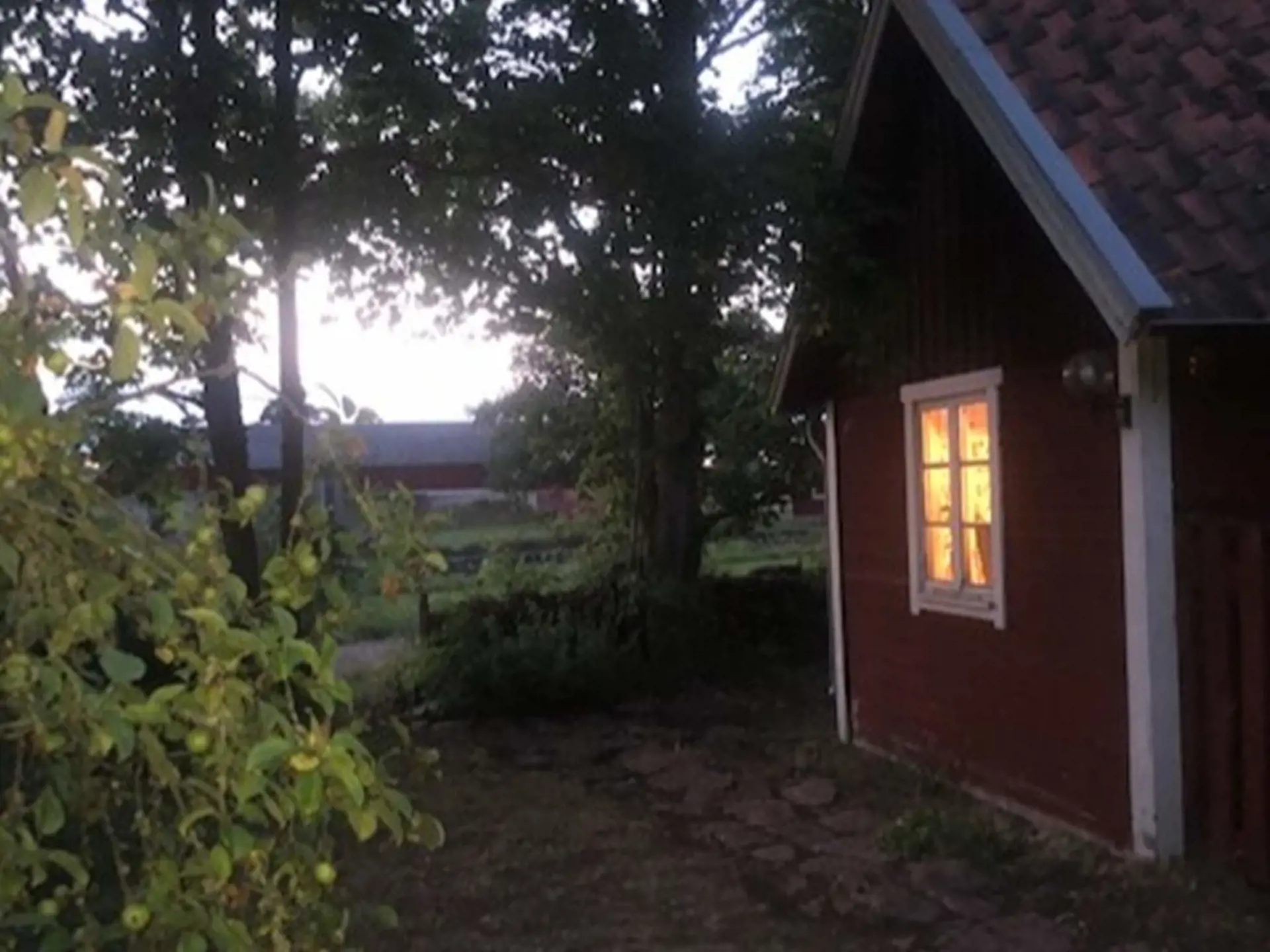 Bild 21 von 42