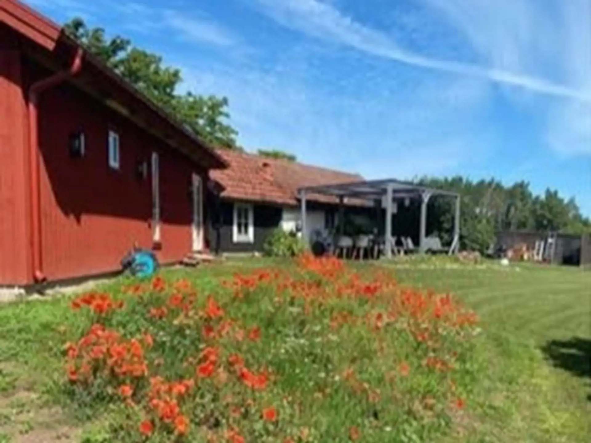 Bild 6 von 35