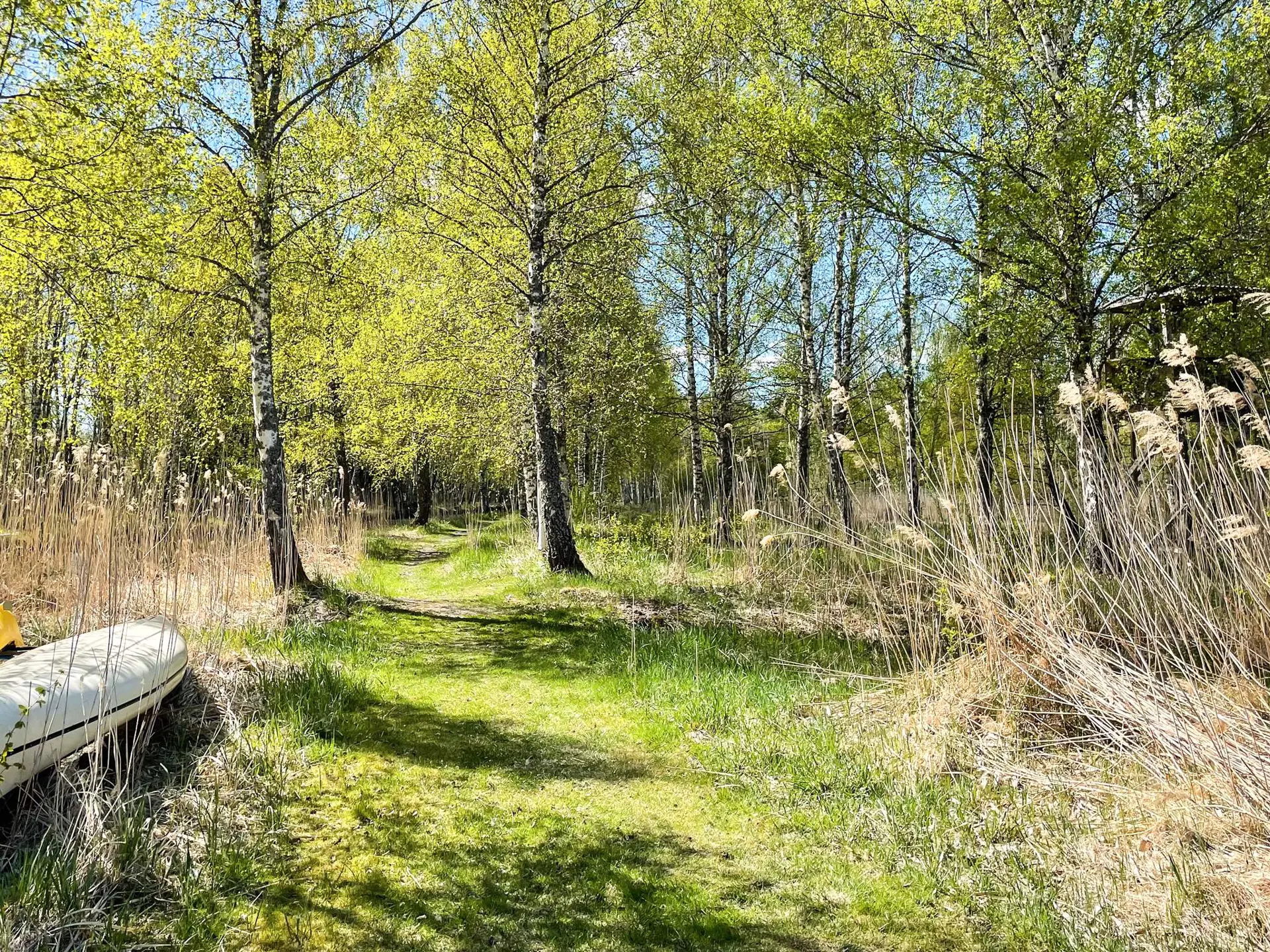 Bild 38 von 43