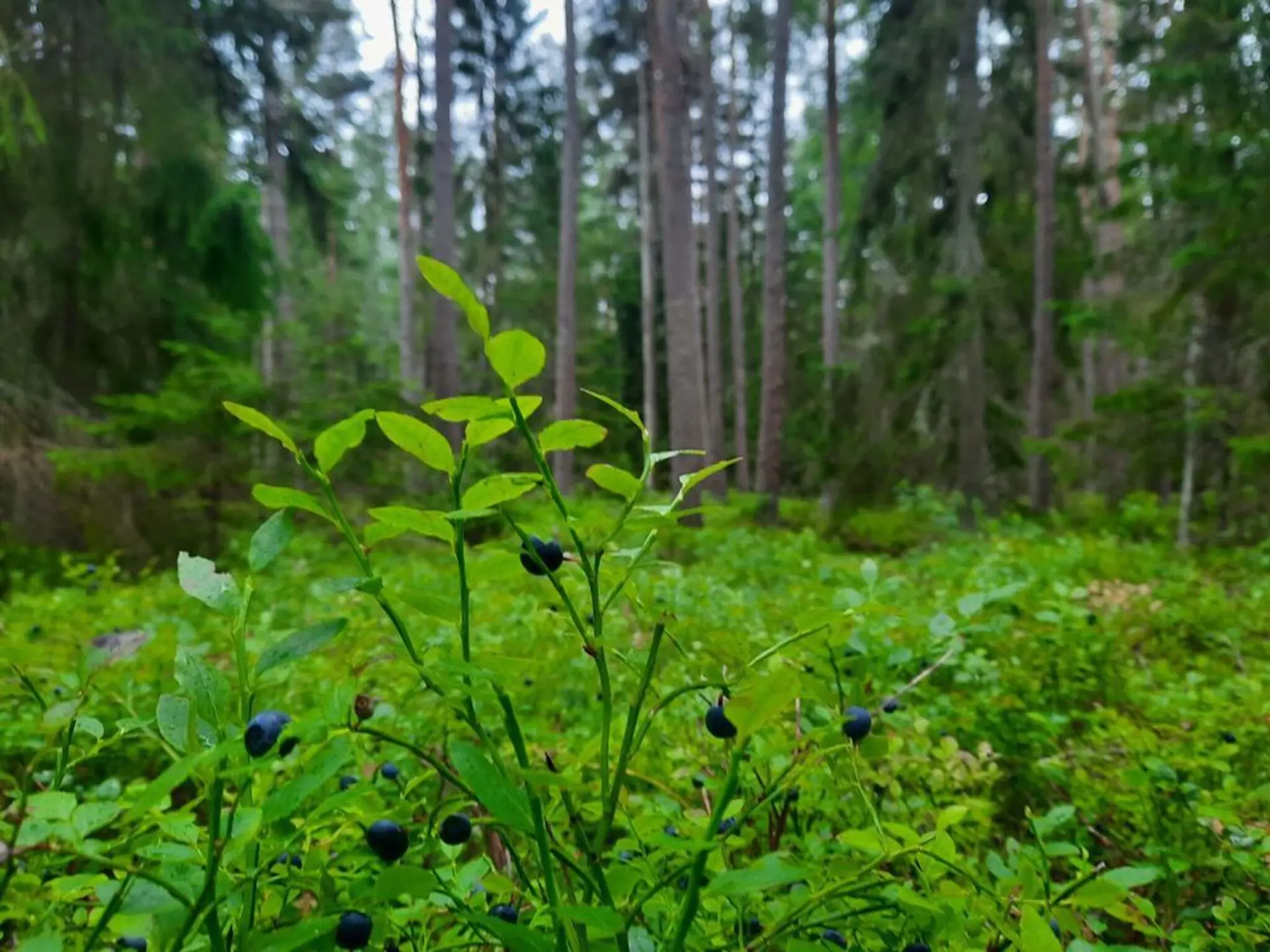Bild 12 von 12