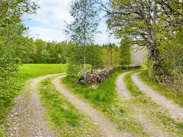 Bild 36 von 40