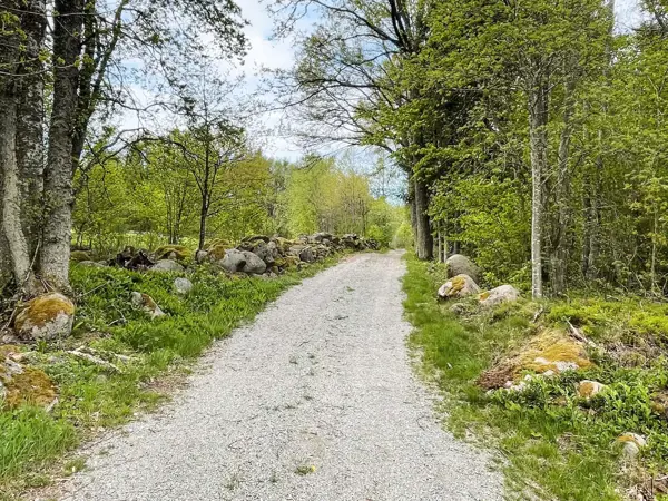 Bild 37 von 40