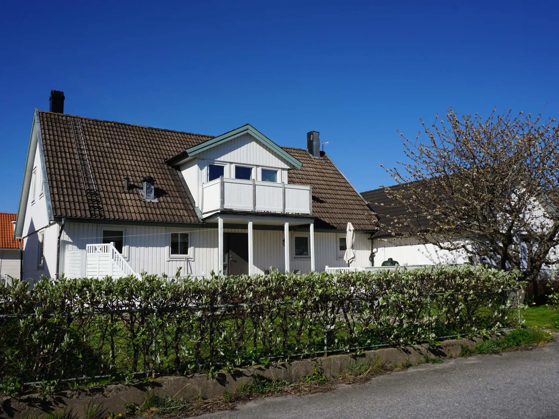 Bild 3 von 31