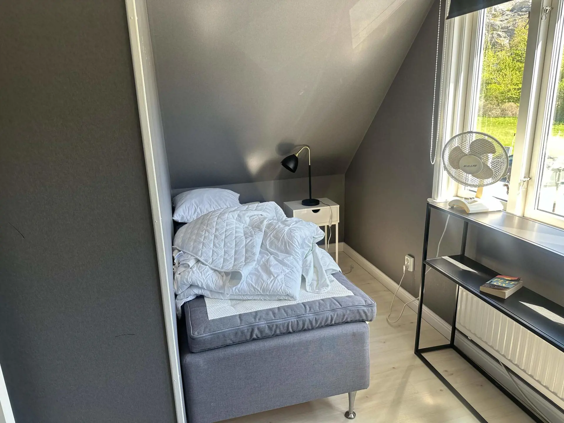 Bild 8 von 17