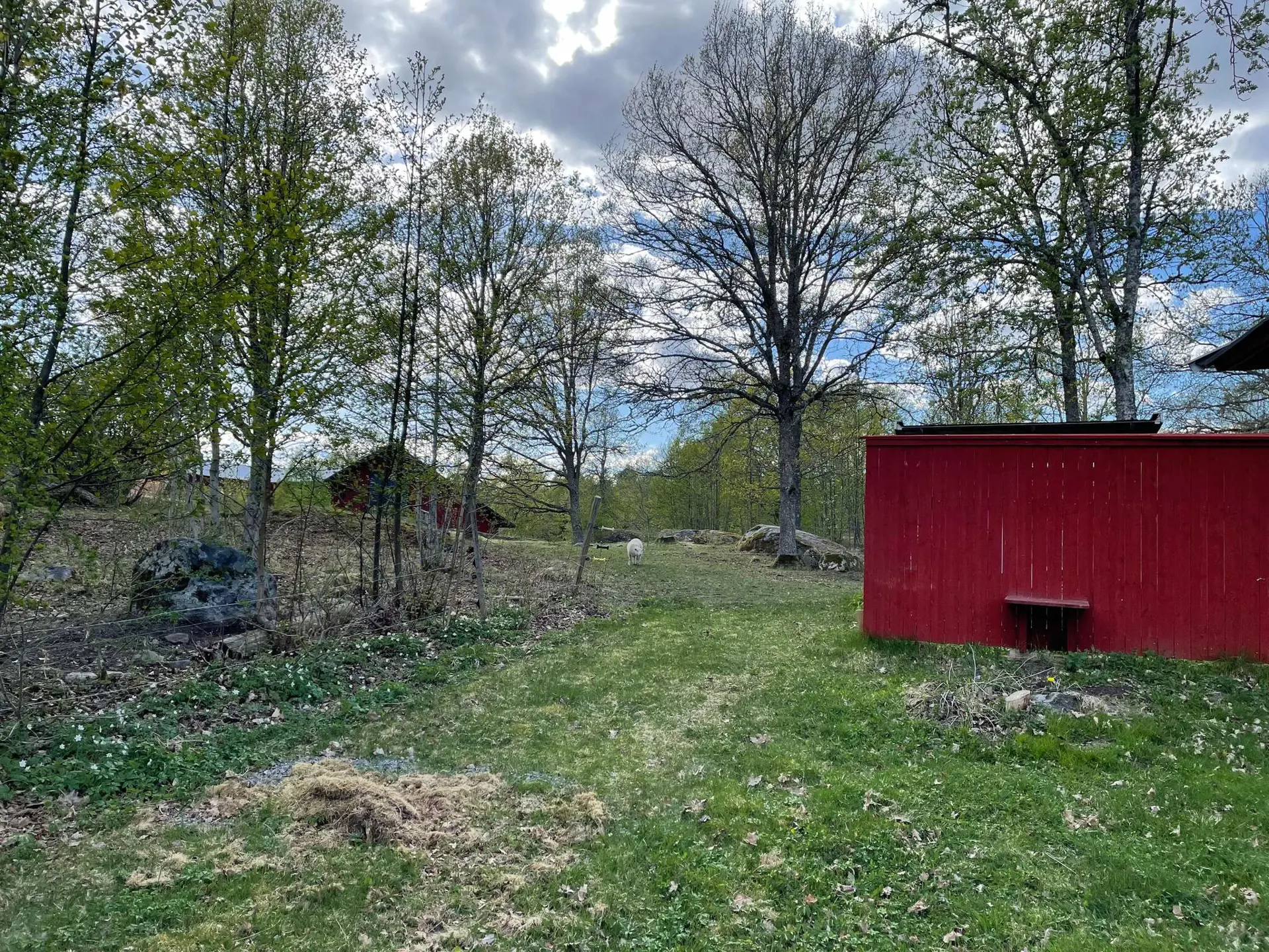 Bild 4 von 17