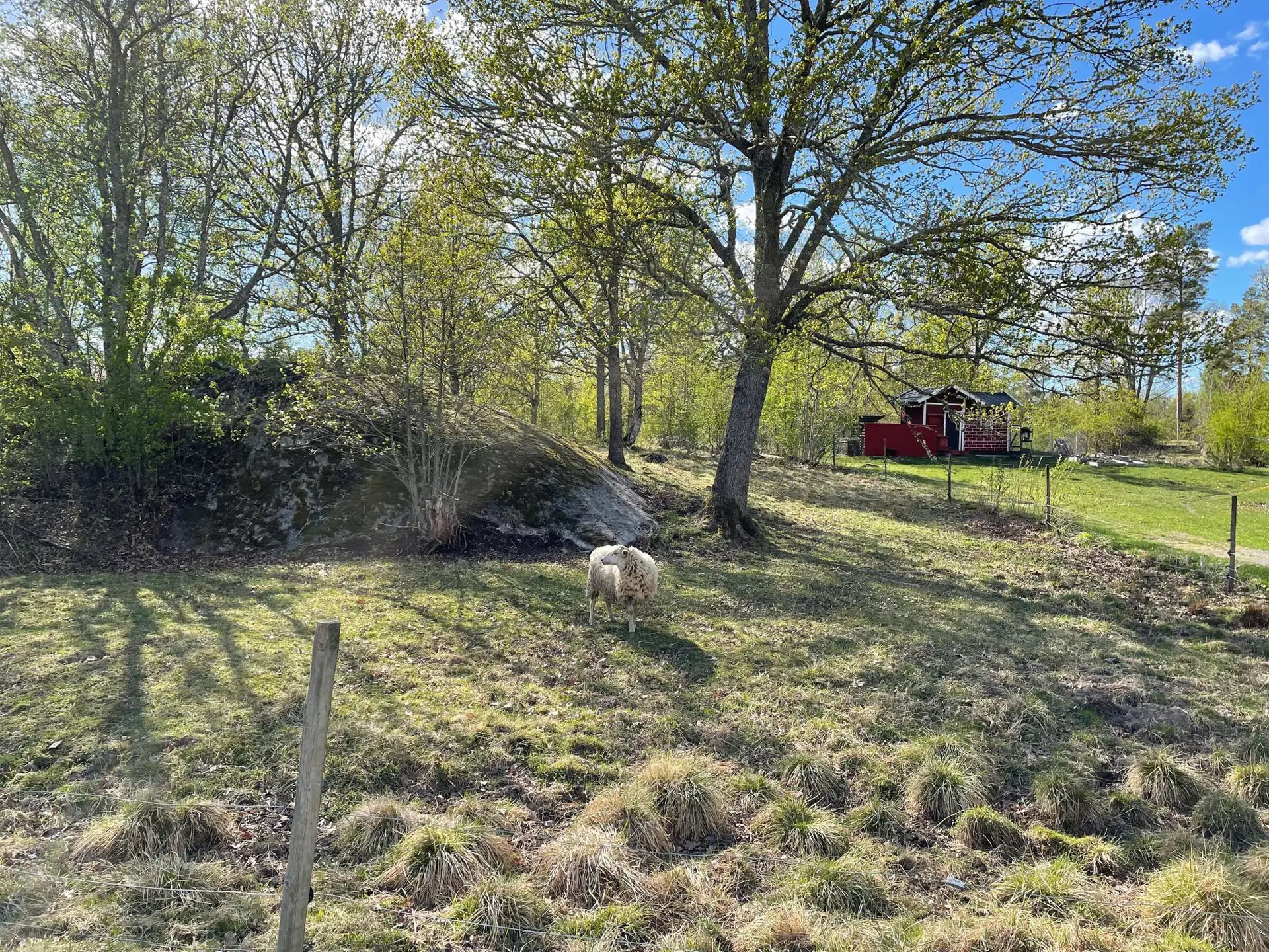 Bild 13 von 17