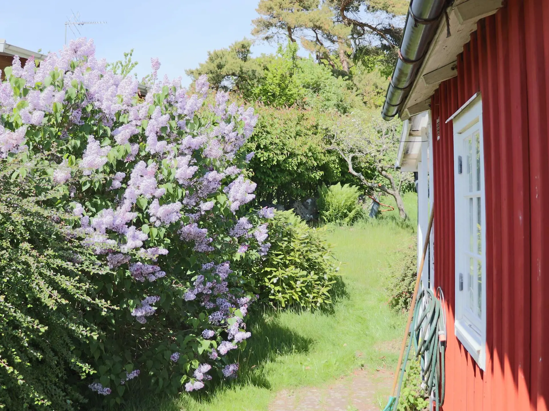 Bild 11 von 40