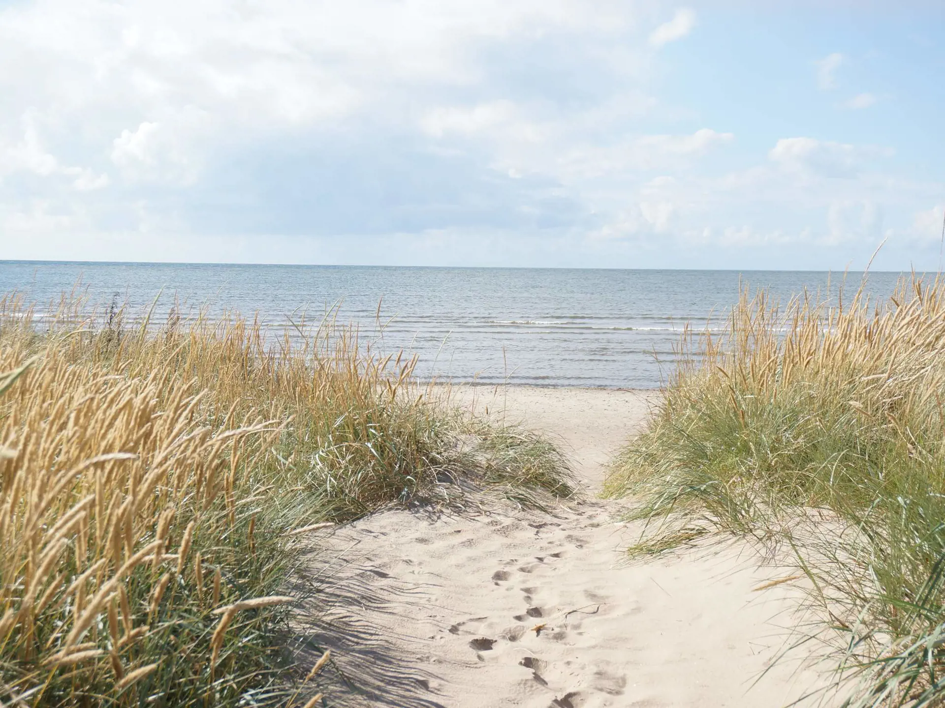 Bild 35 von 40