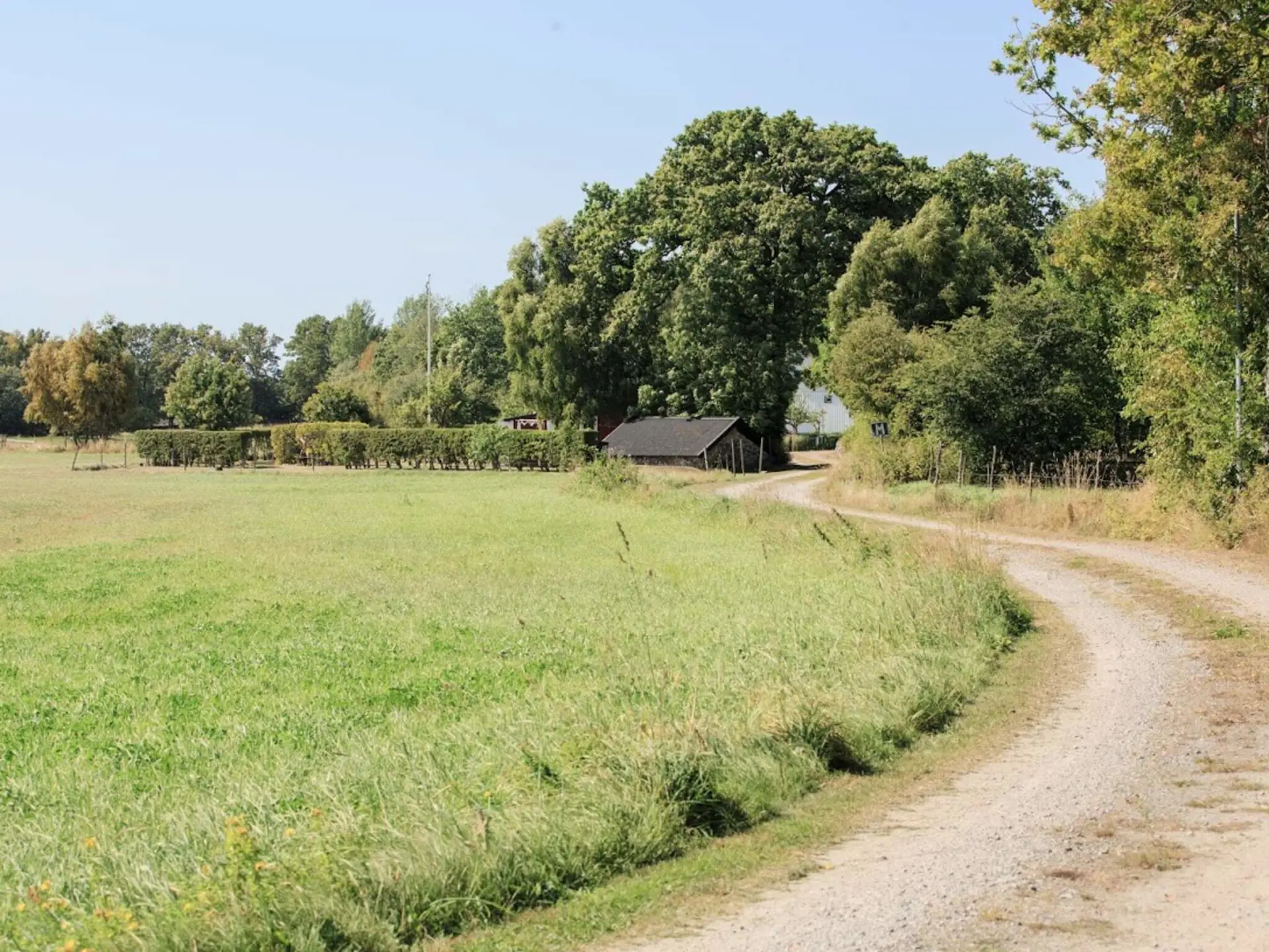 Bild 2 von 12
