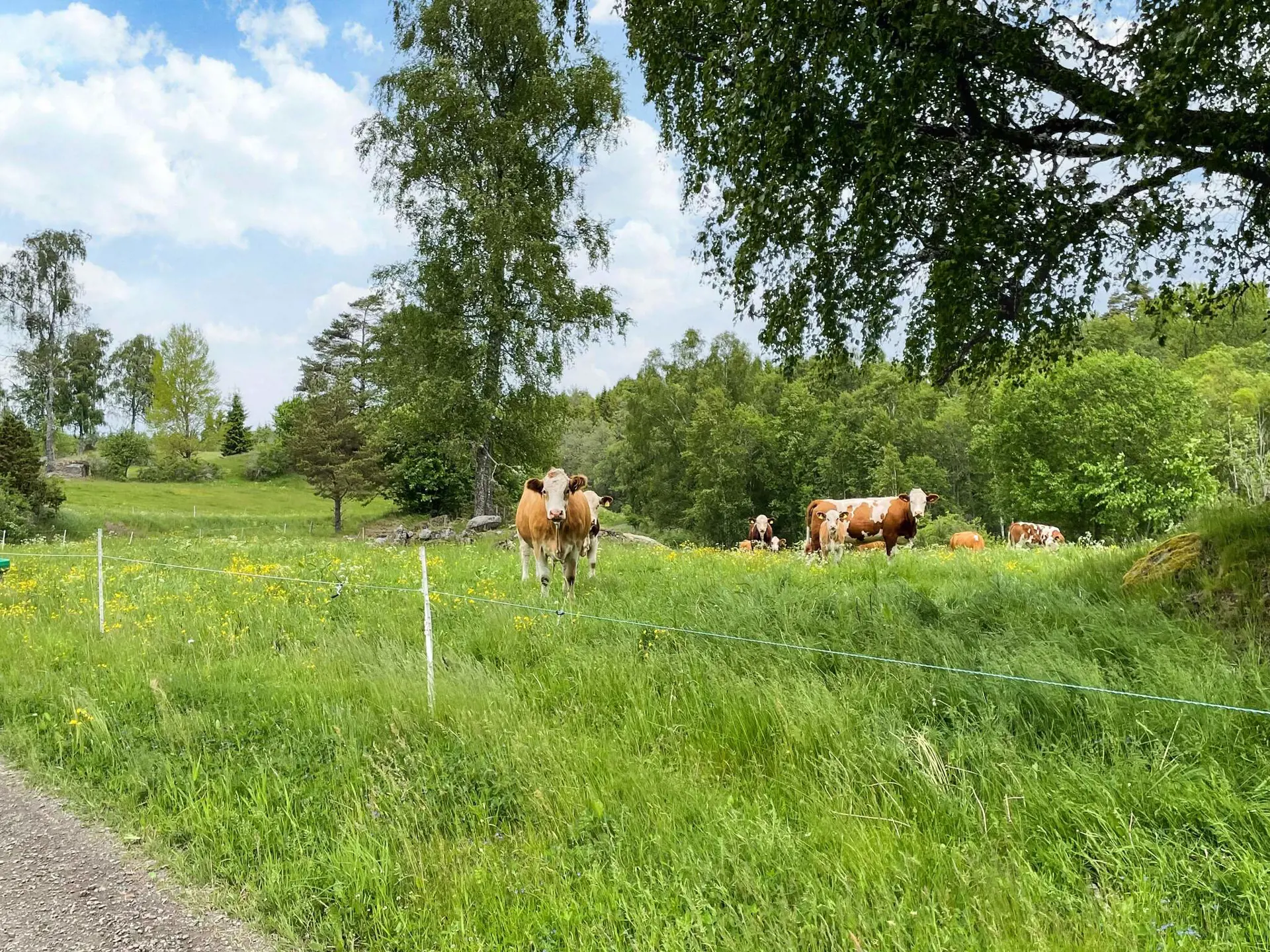 Bild 31 von 32