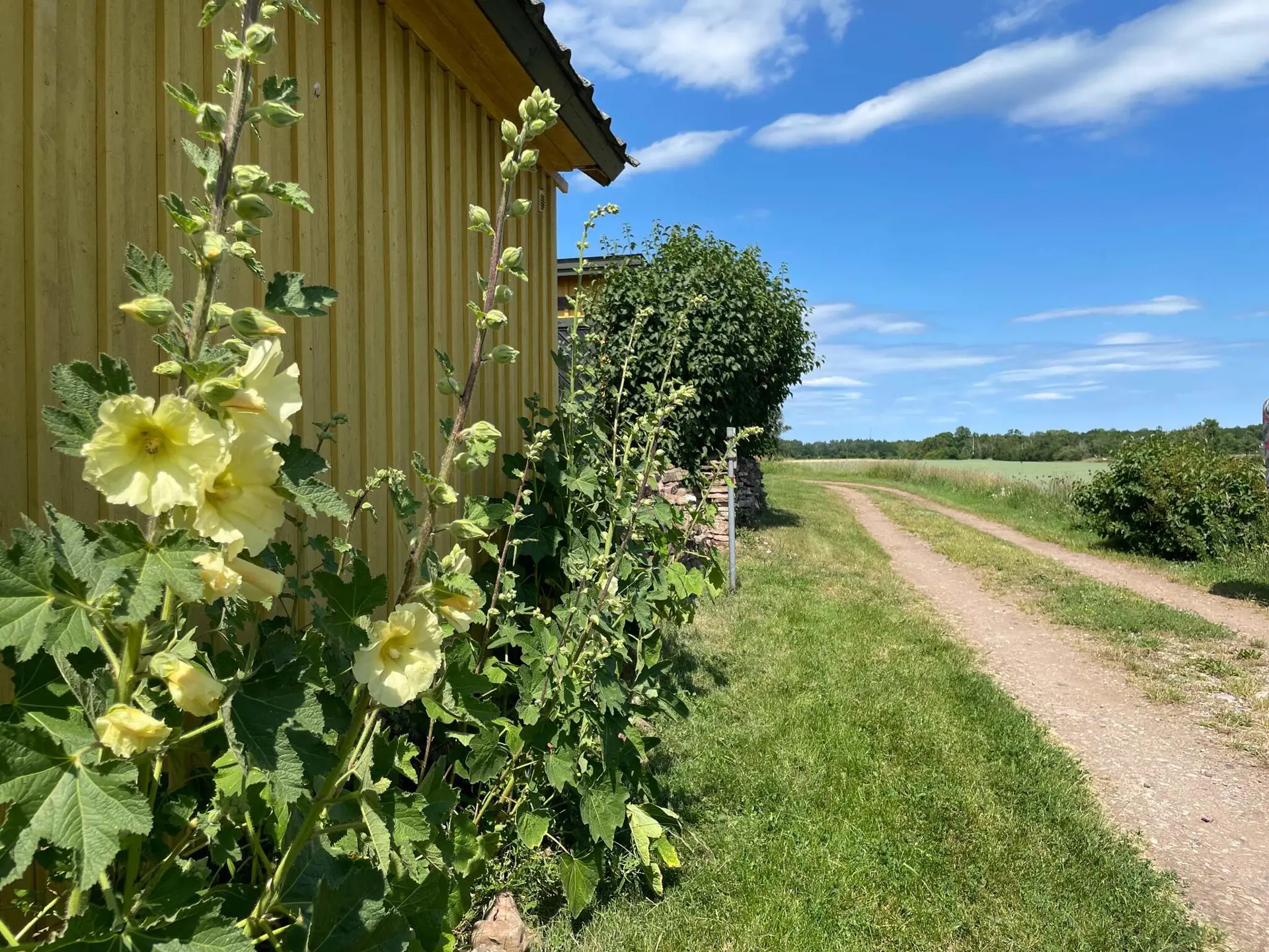 Bild 8 von 44