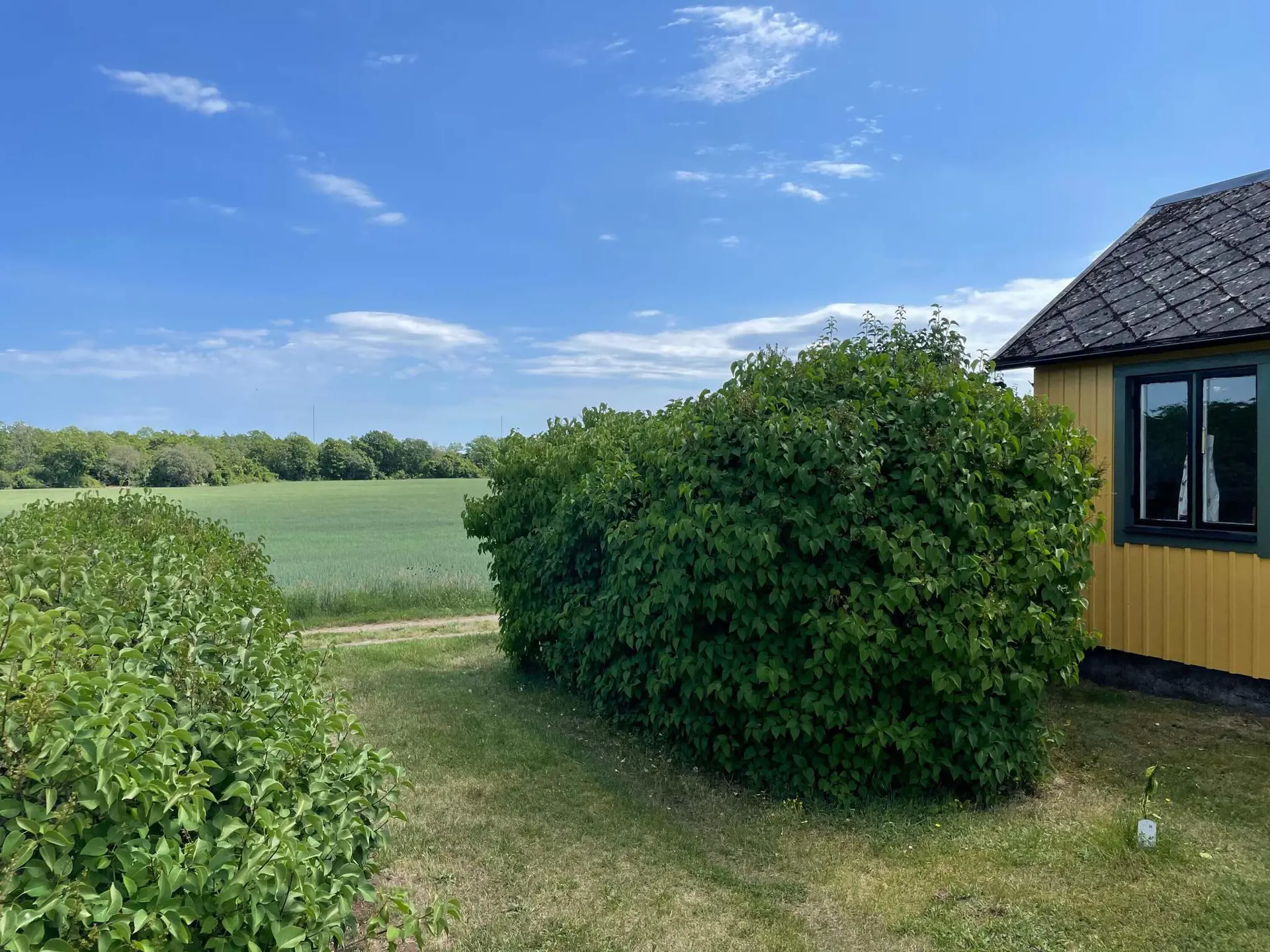 Bild 24 von 44