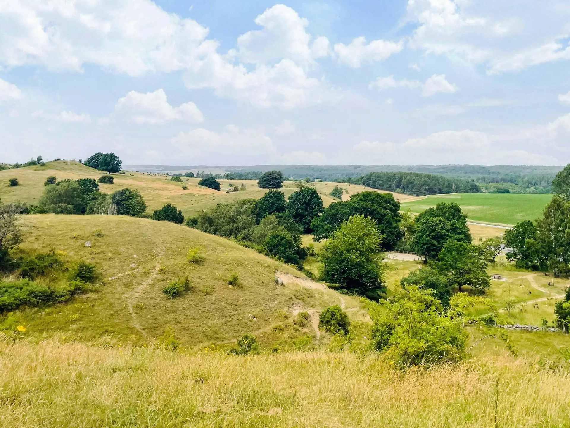 Bild 20 von 29