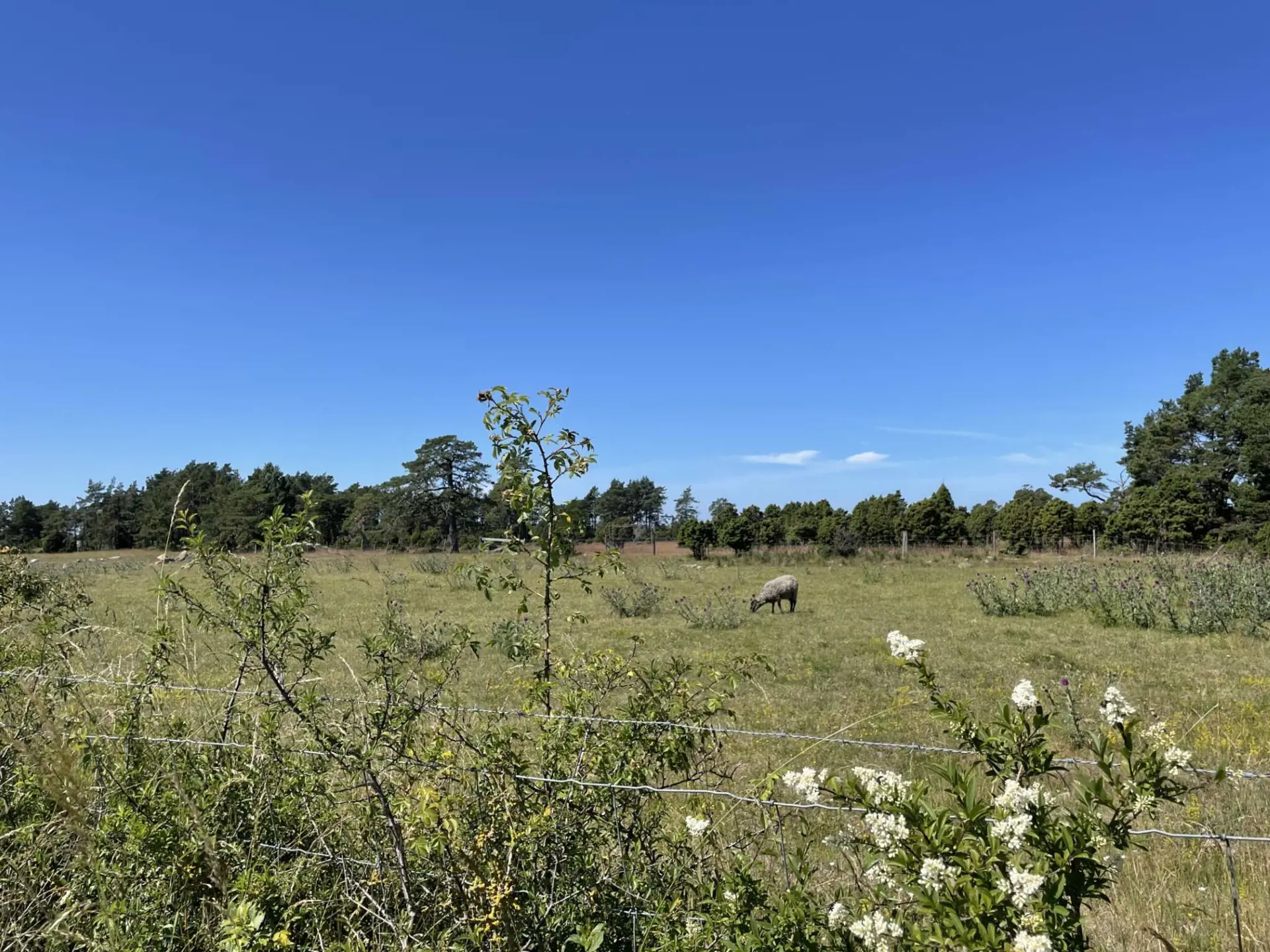 Bild 5 von 15