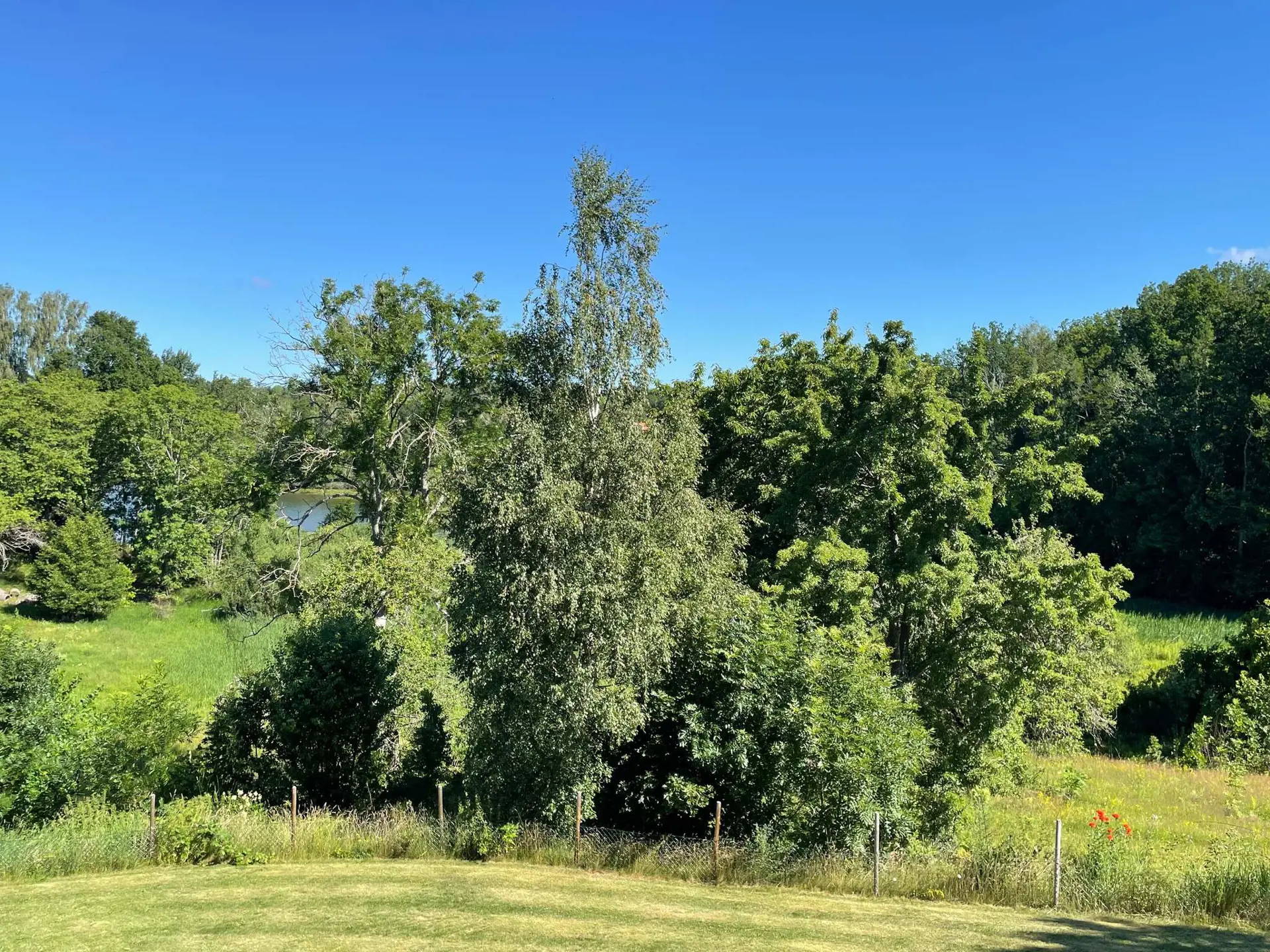 Bild 9 von 38