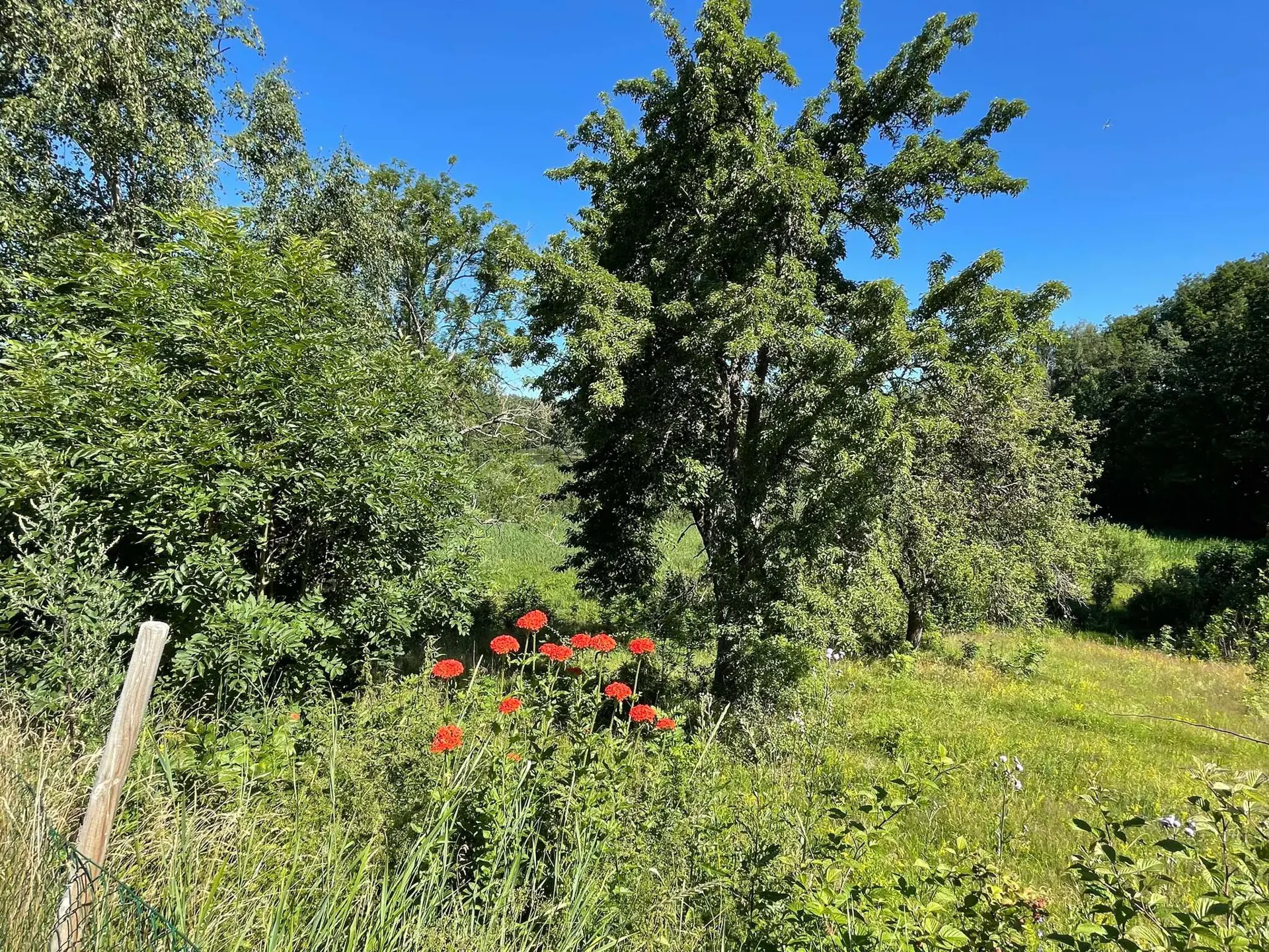 Bild 38 von 38