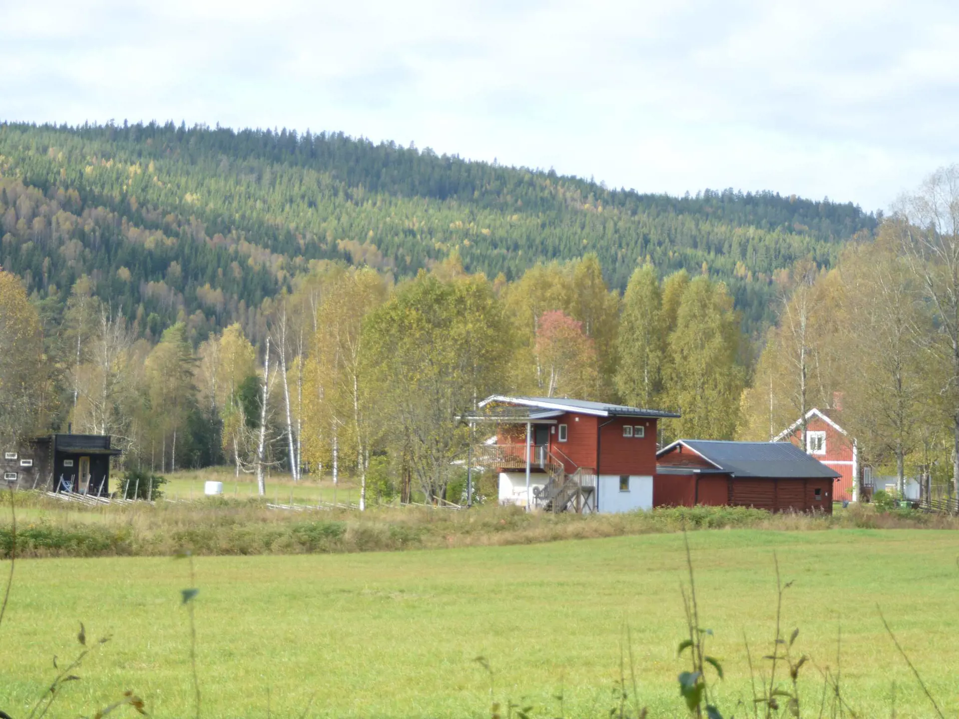 Bild 5 von 12