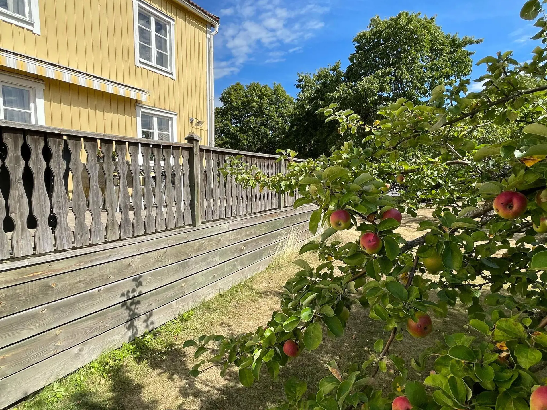 Bild 6 von 55