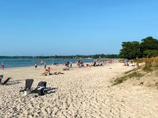 Bild 49 von 53