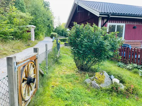 Bild 4 von 24