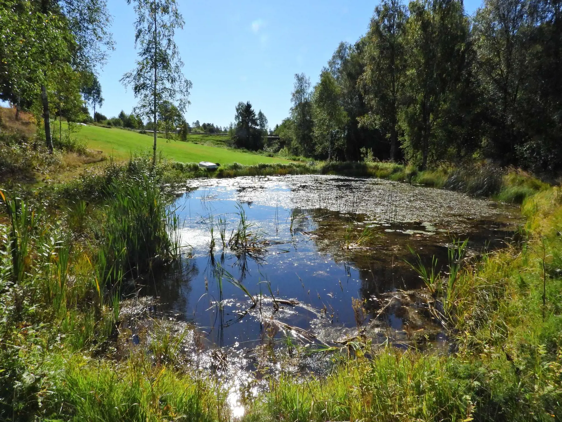 Ferienhaus 66854 in Rössbyn Fårnäsgården 2, Årjäng | Bild 11 von 25