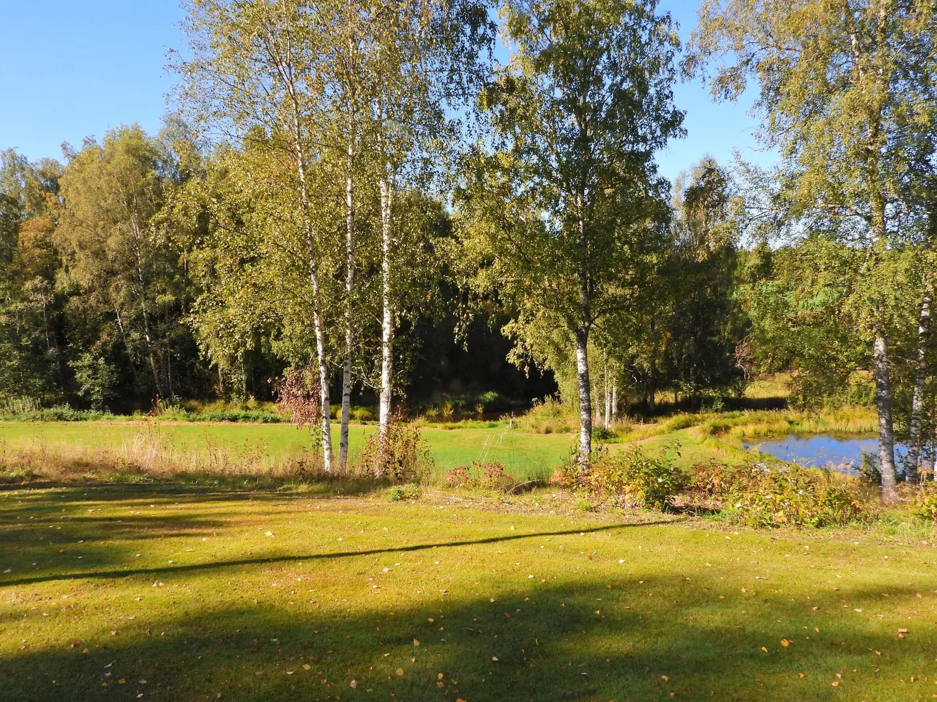 Ferienhaus 66911 in Rössbyn Fårnäsgården 3, Årjäng | Bild 13 von 24