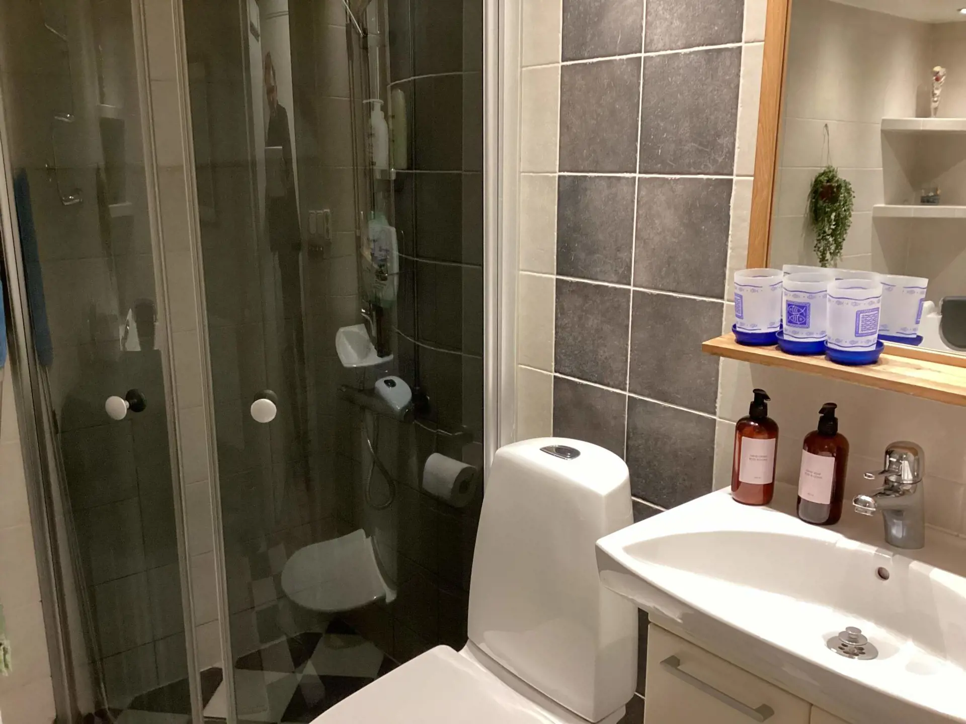 Ferienhaus 67010 in Hedeskogsvägen 13 13, Tanumshede | Bild 5 von 10