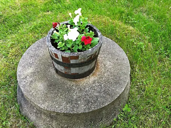 Bild 19 von 20