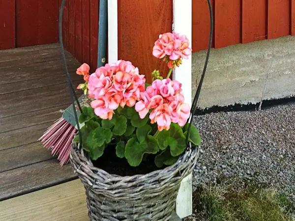Bild 20 von 20