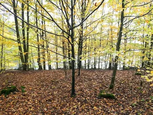 Bild 36 von 38