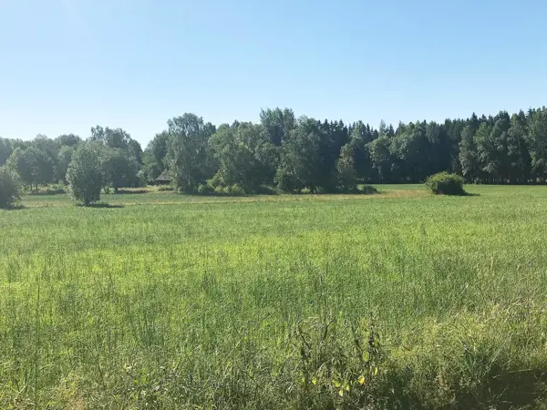 Bild 5 von 18