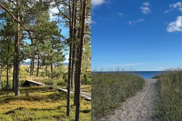 Ferienhaus GAV176 in Dyrån Dyråvägen 13, Gnarp | Bild 2 von 9