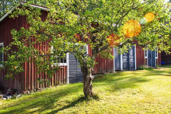 Ferienhaus KAL626 in Villkölsvägen 4, Gullaskruv | Bild 62 von 67