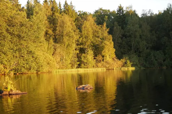 Ferienhaus KAL626 in Villkölsvägen 4, Gullaskruv | Bild 67 von 67
