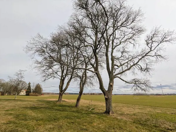 Bild 35 von 35