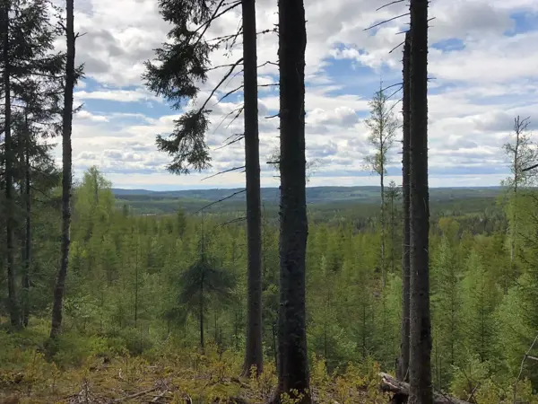 Ferienhaus VAR116 in Sundmanstorp 1, Gunnarskog | Bild 31 von 37