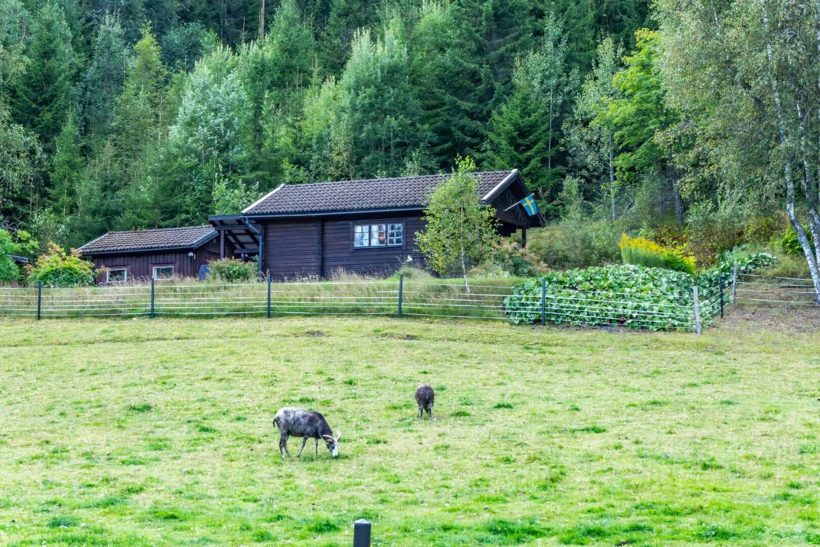 Bild 15 von 15